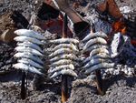 Grilled sardines