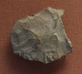 Seal impression with Ka's serekh. Note the absence of the Horus falcon. المتحف البريطاني.