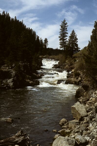 ملف:Little Salmon River.jpg