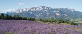 Montagne de Glandasse.jpg