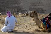 حداء الإبل.jpg