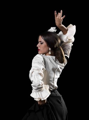 Nuevo-flamenco-scaled.jpg