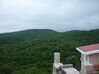 Ziaro-Jungle northren iran -amol.JPG