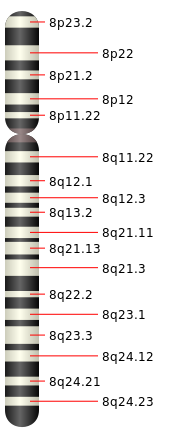 Chromosome 8.svg