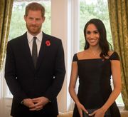 Official calls and evening reception for TRH The Duke and Duchess of Sussex (1) (cropped).jpg