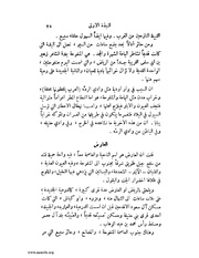 الصفحة التالية ←