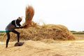 مزارع يعمل في حقله