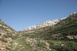 منظر من الوادي.