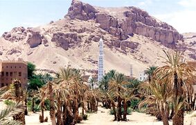 مدينة تريم.