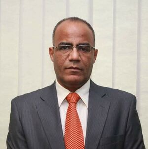 سباعي السيد.jpeg