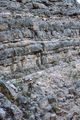 "Shallowing upward" liassic cycles arranged in decametric sequences, Musandam Peninsula, (N-Oman).