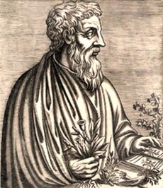 an ancient Greek black-and-white woodcut print of a middle-aged bearded man. His left hand rests on a book, and in his right hand he holds a plant.