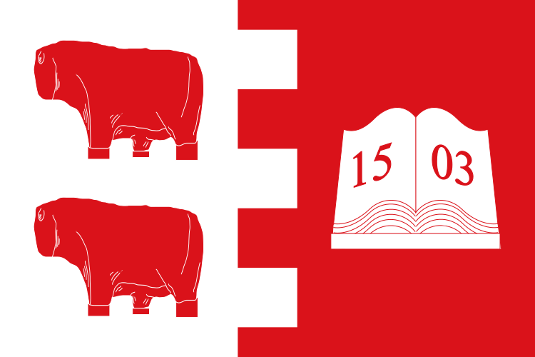 ملف:Bandera de Villatoro.svg