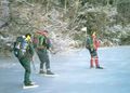 Tour skating