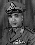 عبد المنعم رياض.