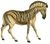 The natural history of horses (Plate XXIII) cropped.jpg
