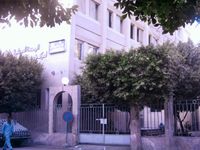 سنورس.jpg