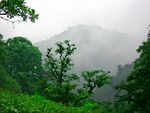 Ghaleye Rud Khan (40) 4.jpg