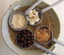 Baobab - fruit pulp elements detail - Adansonia digitata.jpg