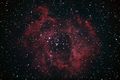 Rosette Nebula