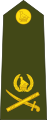 Lieutenant general (الجيش الوطني الزيمبابوي)