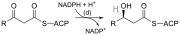 3-ketoacyl-ACP reductase reaction.svg