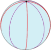 Tetragonal hosohedron ortho.png