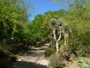 Ethel M Chocolate Botanical Gardens