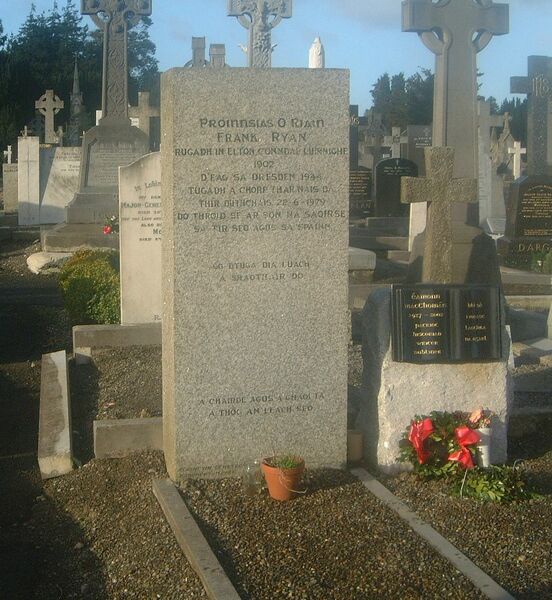 ملف:Frankryangrave.jpg