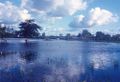 Pantanal in Mato Grosso