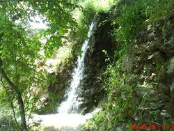 دير ماما