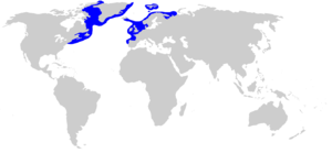 Somniosus microcephalus distmap.png