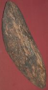 AHOTWbark shield.JPG