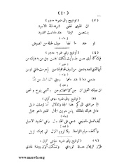 الصفحة التالية &larr;