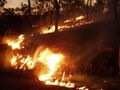 Backburning
