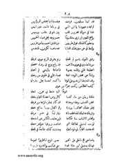 الصفحة التالية &larr;