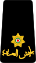 08. JLF-LT.svg