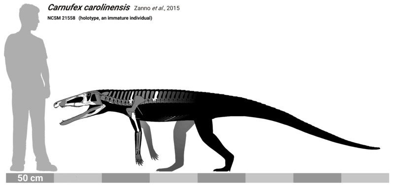 ملف:Carnufex skeletal.png