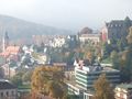 The Florentinerberg (Florentine Hill) with the New Castle (top right), the Caracalla Spa (bottom right), and the Friedrichsbad (bottom left)