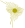 Emblem of the Bolivarian Alliance for the Americas.svg