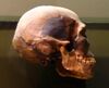 Replica of Predmosti 3
