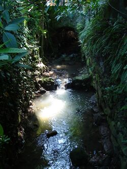 RioCarioca.jpg