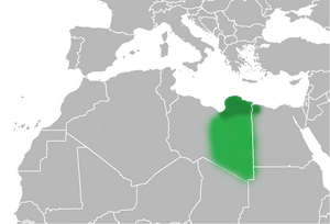 Location of Cyrenaica