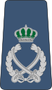 18. JAF-AM.svg