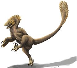 Balaur bondoc.jpg