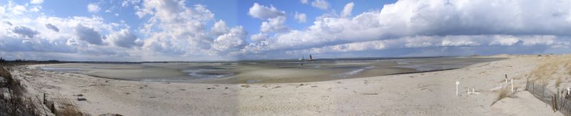 ملف:Cape Henlopen tidal flat.jpg