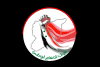 Flag of the National Defence Force Syria.svg