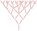 Young–Fibonacci graph