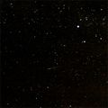 Orionid