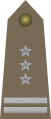 Pułkownik[15] (Polish Land Forces)